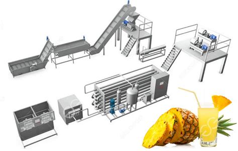 Pineapple processing Plants & Machines for Juice .
